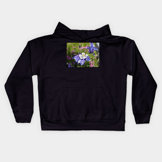 Rocky Mountain Columbine in Meadow Kids Hoodie by AustaArt